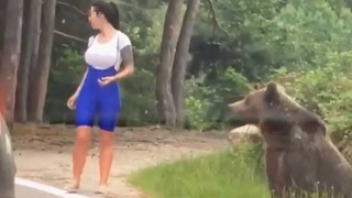 Detiene el auto para tomarse una foto con un oso salvaje. Sale mal